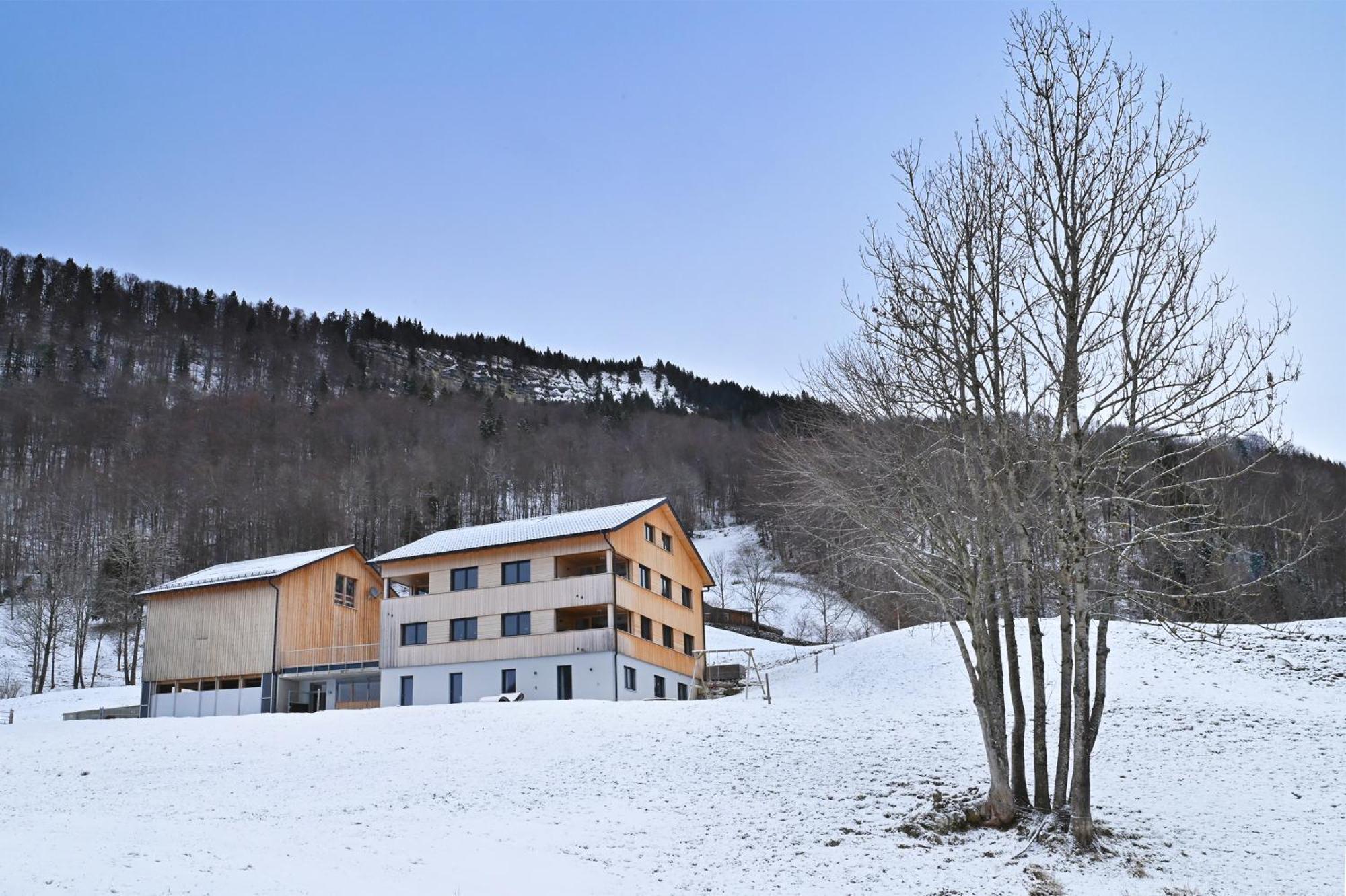Panoramahof Bergglueck Apartment Mellau Exterior photo